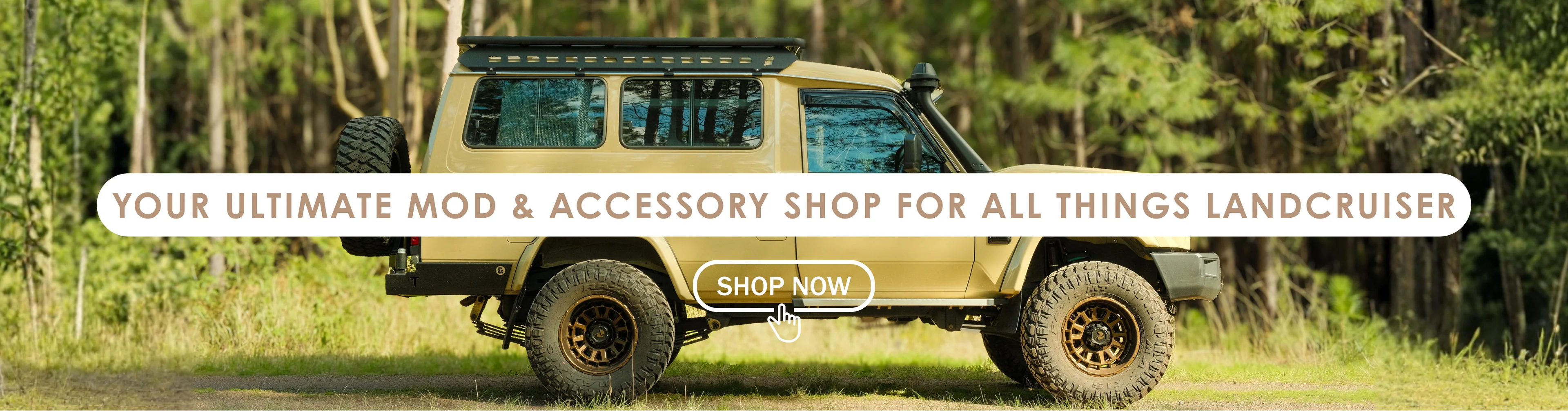Elite Style for Your Cruiser